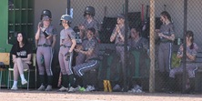 Bats Go Quiet for Panthers Softball vs. Hudson Valley
